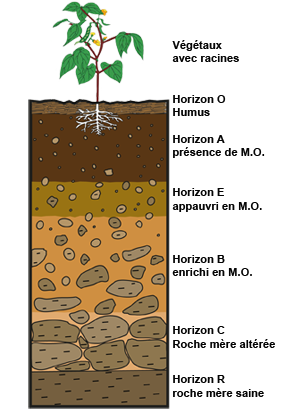 Apres Midi Terrain Sur Le Sol Avec Un Geologue Pedologue